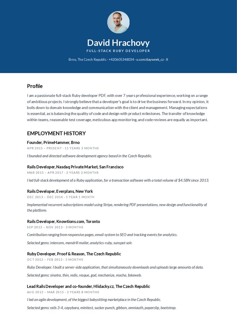 Professional resume template preview
