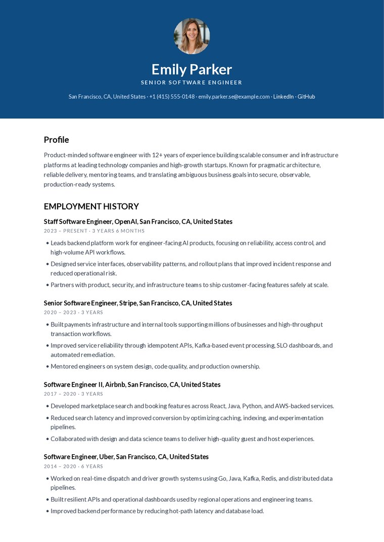 Professional resume template preview